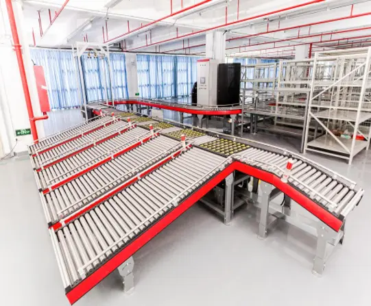 Sortation devcice,conveyor for distribution center